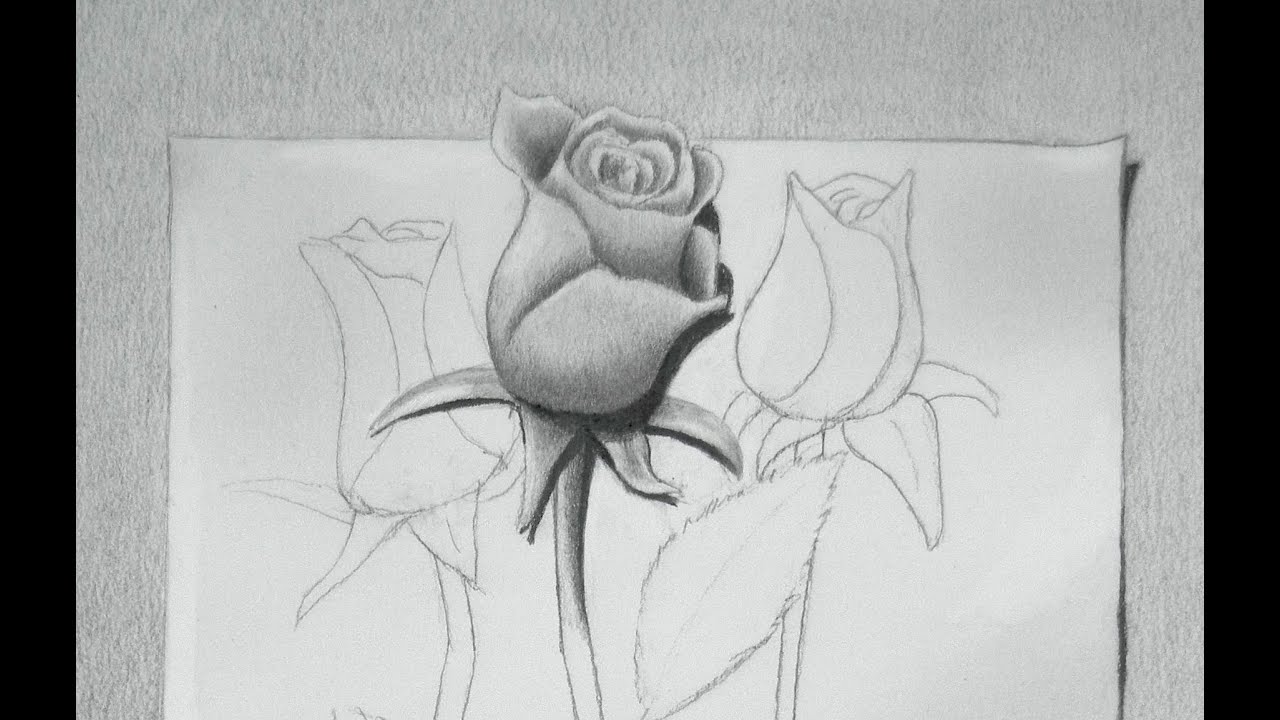 Dibujando rosas: cómo dibujar una rosa en 3D - Arte Divierte, dibujos de Una Rosa En 3D, como dibujar Una Rosa En 3D paso a paso