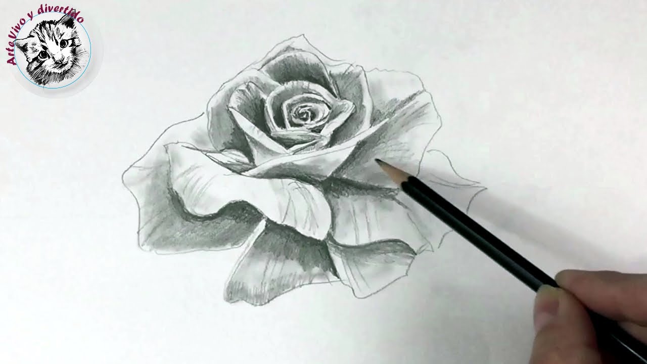 How to Draw a Realistic Rose with Just One Pencil (Spanish Narrated), dibujos de Una Rosa Realista, como dibujar Una Rosa Realista paso a paso