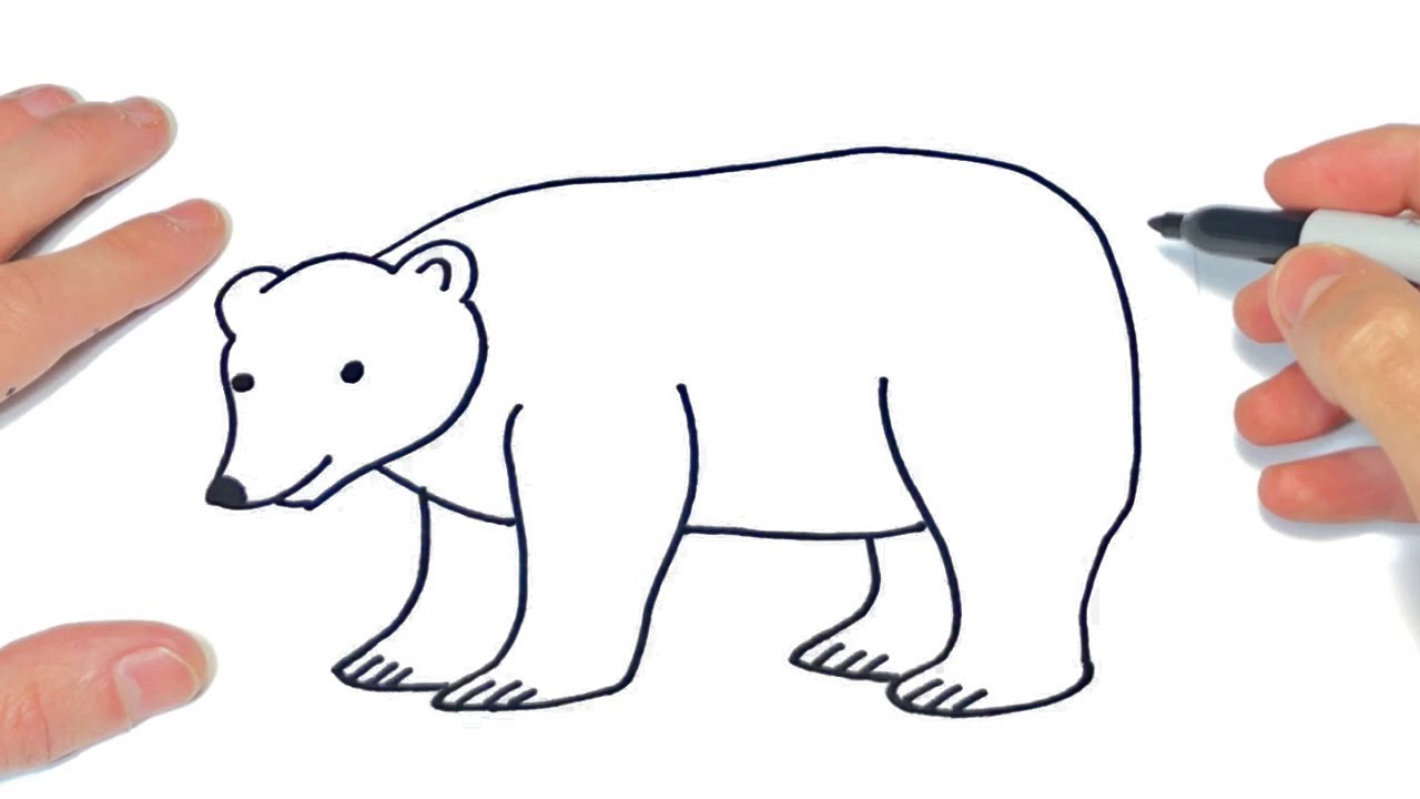 Cómo dibujar un Oso Polar Paso a Paso  Dibujo de Oso Polar, dibujos de Oso, como dibujar Oso paso a paso