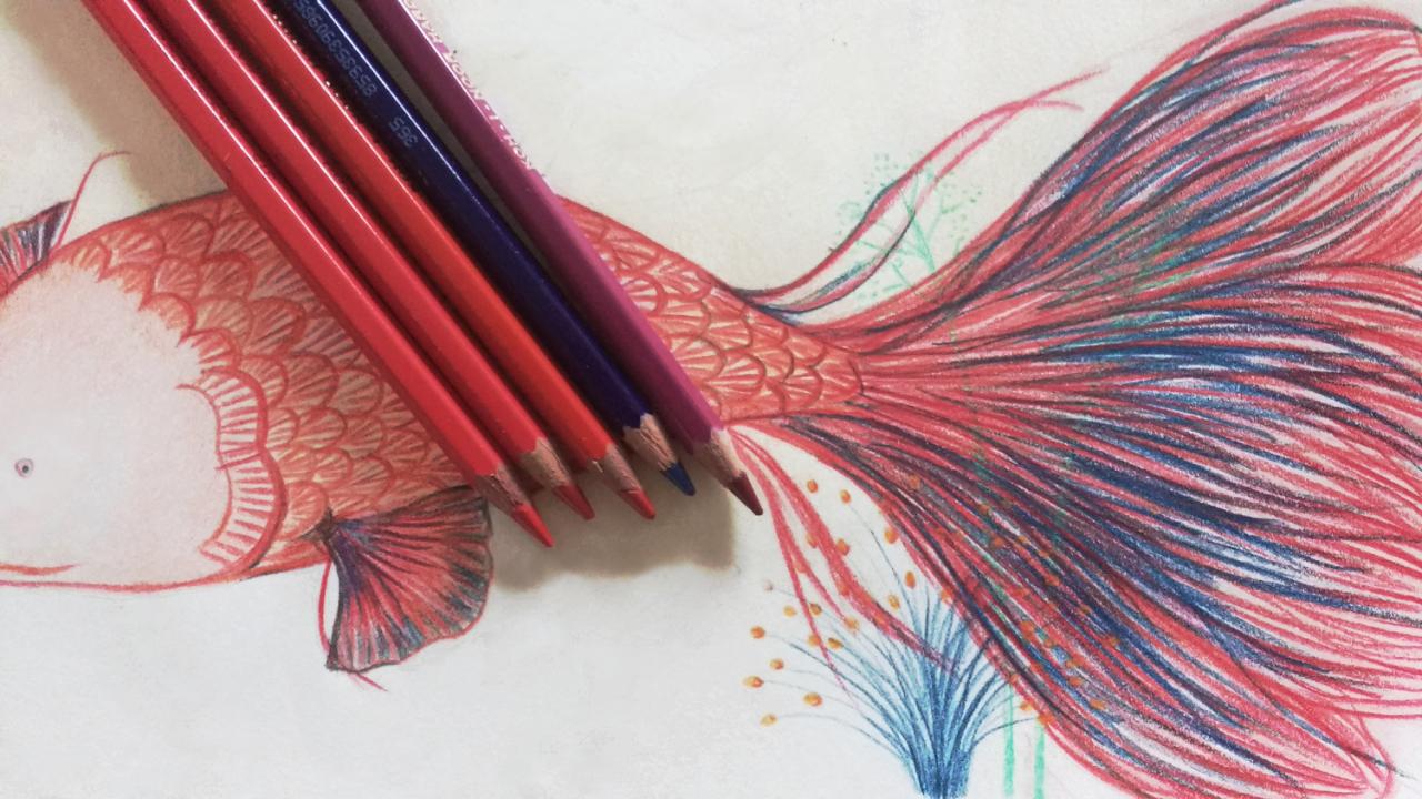 Cómo dibujar Con Lápices De Colores 】 Paso a Paso Muy Fácil 2023 - Dibuja  Fácil