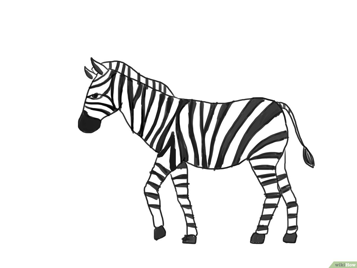 Cómo dibujar una cebra (con imágenes) - wikiHow, dibujos de Una Cebra, como dibujar Una Cebra paso a paso
