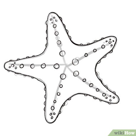 Cómo dibujar una estrella de mar: 5 Pasos (con imágenes), dibujos de Una Estrella De Mar, como dibujar Una Estrella De Mar paso a paso