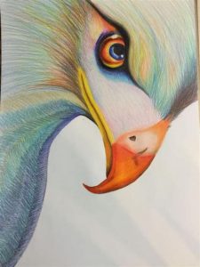 Cómo Dibujar Animales Con Lapices De Colores Paso a Paso Fácil