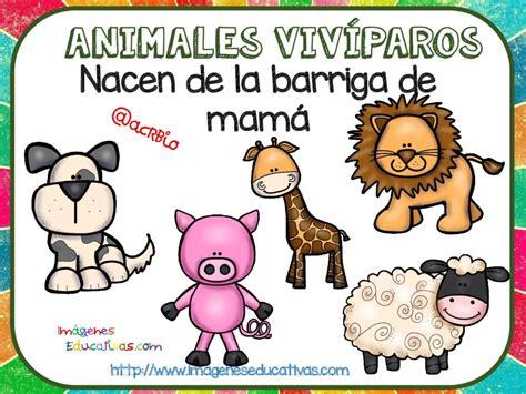 Cómo Dibujar Animales Oviparos Fácil Paso a Paso