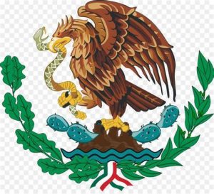 Cómo Dibuja El Escudo De Mexico Paso a Paso Fácil