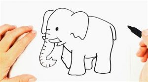 Dibujar Elefante Para Niños Fácil Paso a Paso