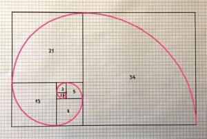Dibuja Espiral De Fibonacci Fácil Paso a Paso