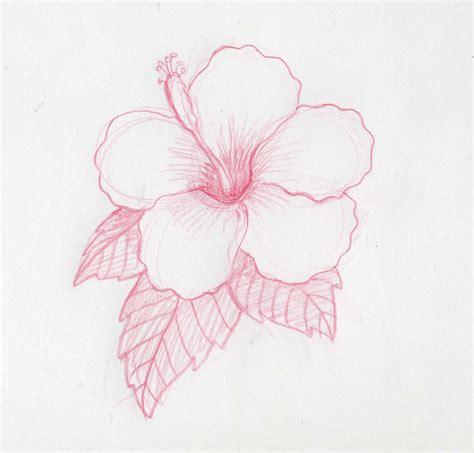 Dibuja Flor Hawaiana Fácil Paso a Paso