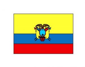 Cómo Dibuja La Bandera De Ecuador Paso a Paso Fácil