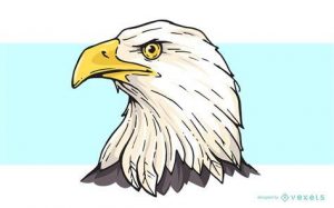 Cómo Dibujar La Cabeza De Un Aguila Paso a Paso Fácil