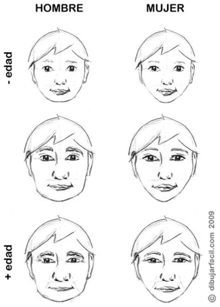 Dibuja La Cara De Una Persona Para Niños Fácil Paso a Paso