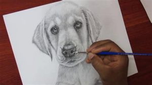 Cómo Dibuja Lapiz Un Perro Realista Fácil Paso a Paso