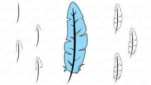 Cómo Dibujar Las Plumas De Un Ave Paso a Paso Fácil