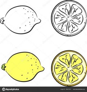 Cómo Dibujar Limones Paso a Paso Fácil