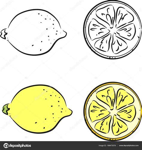 Cómo Dibujar Limones Paso a Paso Fácil