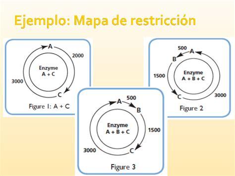 Cómo Dibujar Mapas De Restriccion Fácil Paso a Paso