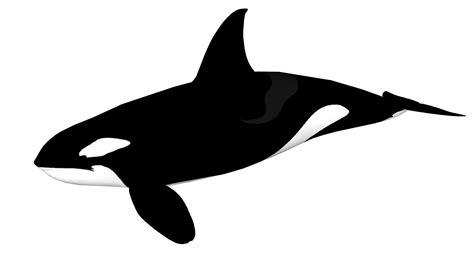 Dibuja Orcas Fácil Paso a Paso