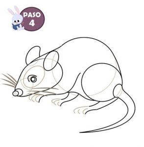 Cómo Dibujar Raton Para Niños Fácil Paso a Paso