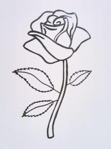 Cómo Dibujar Rosas Pequeñas Fácil Paso a Paso