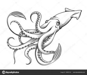 Dibujar Un Calamar Gigante Fácil Paso a Paso