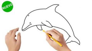 Cómo Dibuja Un Delfin En El Mar Paso a Paso Fácil