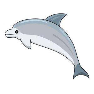 Dibuja Un Delfin Saltando Paso a Paso Fácil