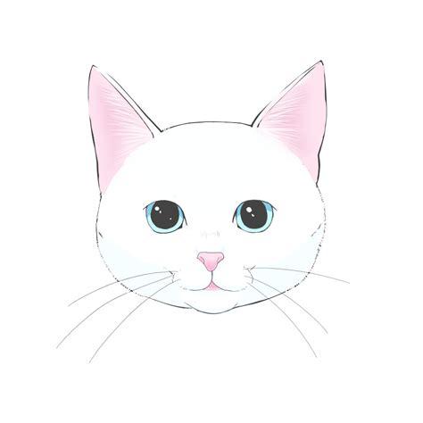 Cómo Dibujar Un Gato En La Cara Paso a Paso Fácil