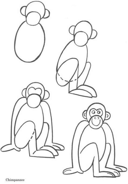 Cómo dibujar Un Mono Titi 】 Paso a Paso Muy Fácil 2023 - Dibuja Fácil