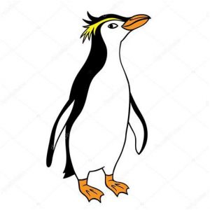 Cómo Dibujar Un Pinguino Real Fácil Paso a Paso