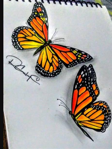 Cómo dibujar Una Mariposa Monarca 】 Paso a Paso Muy Fácil 2023 - Dibuja  Fácil