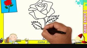 Dibujar Una Rosa Para Principiantes Paso a Paso Fácil