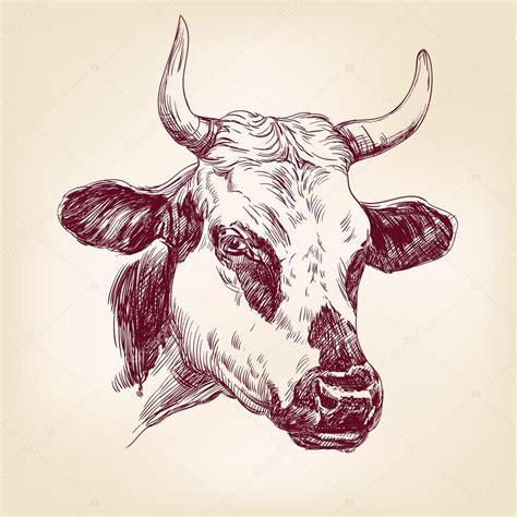 Cómo Dibuja Una Vaca Realista Paso a Paso Fácil