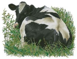 Cómo Dibujar Vaca Tumbada Paso a Paso Fácil
