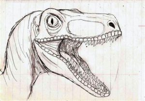 Cómo Dibuja A Un Velociraptor Paso a Paso Fácil