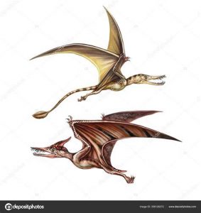 Dibujar Dinosaurios Voladores Fácil Paso a Paso