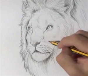 Cómo Dibujar El Pelaje De Un Animal Paso a Paso Fácil