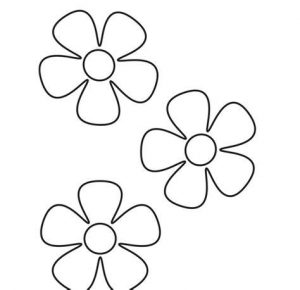 Cómo Dibujar Flores 5 Petalos Paso a Paso Fácil