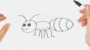 Cómo Dibujar Insectos Para Niños Fácil Paso a Paso