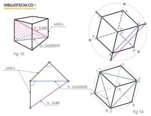Cómo Dibujar La Seccion Principal De Un Dodecaedro Fácil Paso a Paso