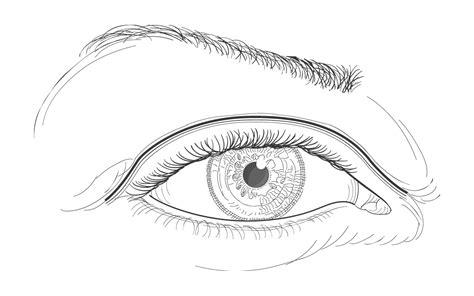 Dibujar Ojos De Personas Paso a Paso Fácil