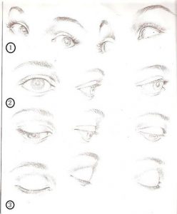 Dibujar Ojos En Diferentes Posiciones Paso a Paso Fácil