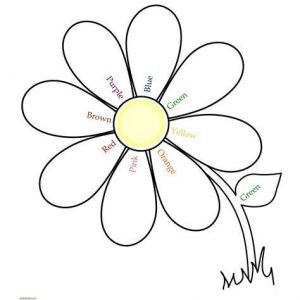 Cómo Dibujar Petalos De Flores Fácil Paso a Paso