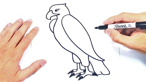 Dibuja Un Aguila Para Niños Paso a Paso Fácil