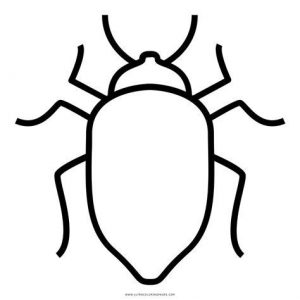 Cómo Dibuja Un Escarabajo Para Niños Fácil Paso a Paso