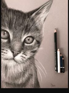 Dibujar Un Gato A Carboncillo Fácil Paso a Paso