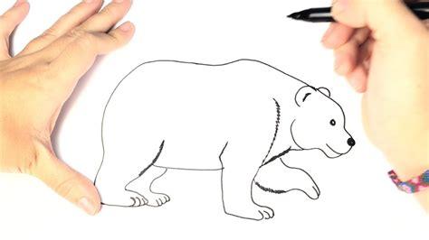 Dibuja Un Oso Polar Para Niños Paso a Paso Fácil