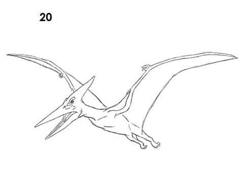 Dibujar Un Pteranodon Fácil Paso a Paso