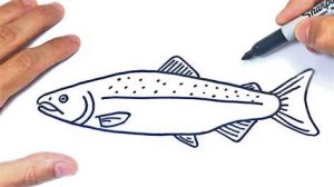 Cómo Dibuja Un Salmon Fácil Paso a Paso