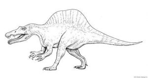 Cómo Dibuja Un Spinosaurus Fácil Paso a Paso