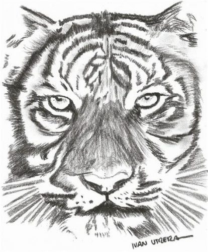 My Image 5